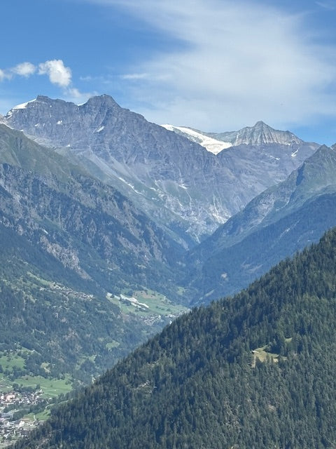 IMG_7530.jpg